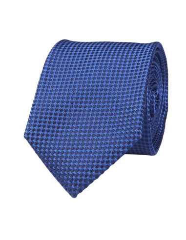 Blue Silk Tie