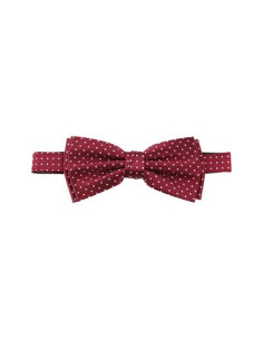 Burgundy White Dots Silk...