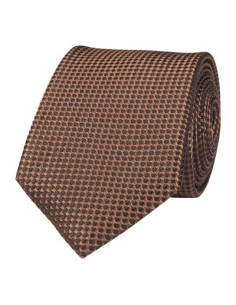 Brown Silk Tie